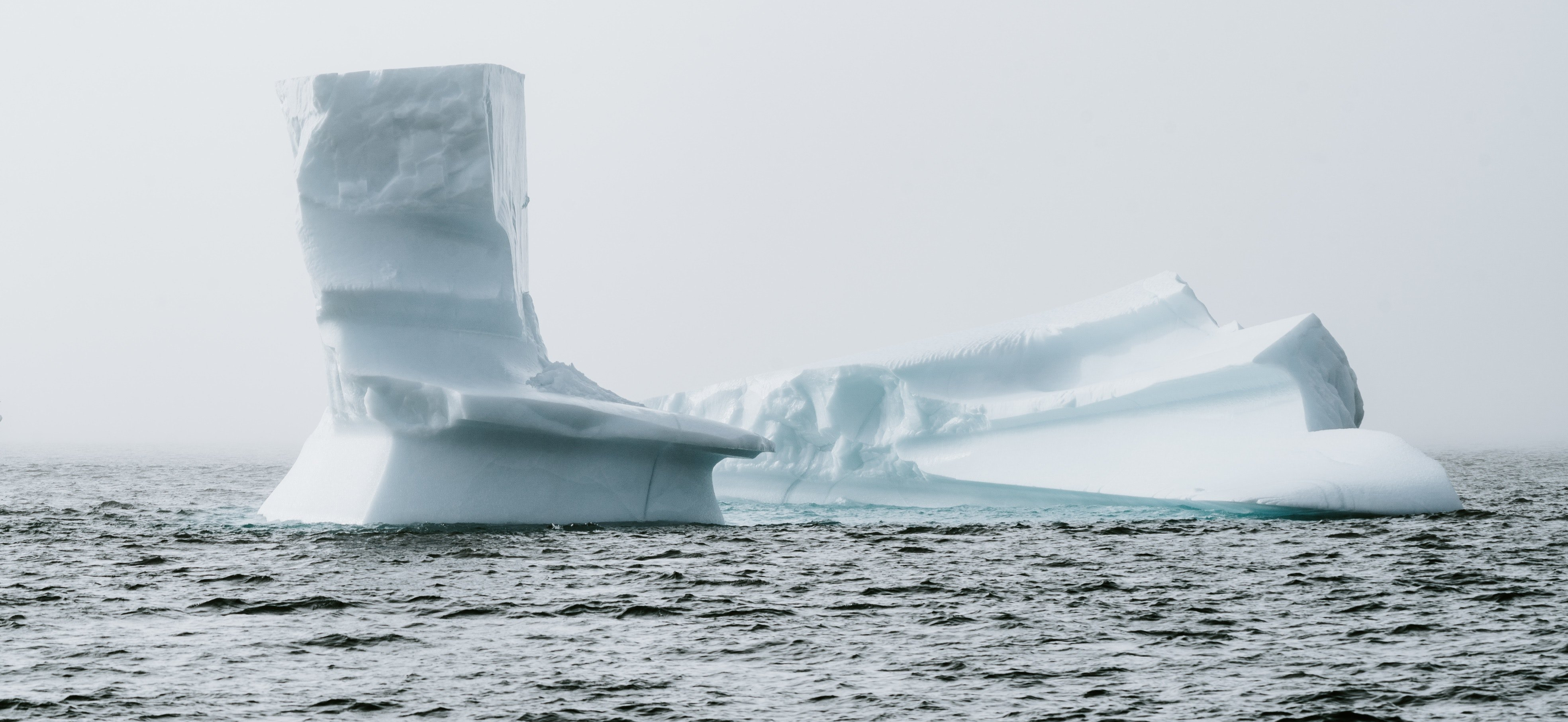 annie-spratt-1057382-unsplash